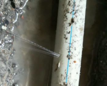 呼伦贝尔市卫生间测漏水多少钱